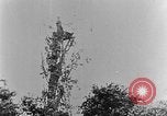 Image of German attack in France France, 1916, second 44 stock footage video 65675071216