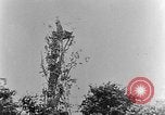 Image of German attack in France France, 1916, second 45 stock footage video 65675071216