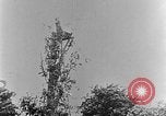 Image of German attack in France France, 1916, second 47 stock footage video 65675071216