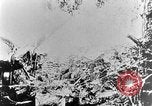 Image of German attack in France France, 1916, second 57 stock footage video 65675071216