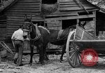 Standbild Negro Landwirte United States USA, 1931, aus Sekunde 3 historischem Filmmaterial Videoclip 65675071224