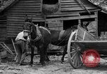 Standbild Negro Landwirte United States USA, 1931, aus Sekunde 4 historischem Filmmaterial Videoclip 65675071224