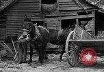 Standbild Negro Landwirte United States USA, 1931, aus Sekunde 5 historischem Filmmaterial Videoclip 65675071224