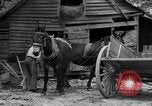 Standbild Negro Landwirte United States USA, 1931, aus Sekunde 6 historischem Filmmaterial Videoclip 65675071224