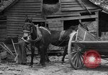 Standbild Negro Landwirte United States USA, 1931, aus Sekunde 7 historischem Filmmaterial Videoclip 65675071224