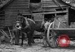 Standbild Negro Landwirte United States USA, 1931, aus Sekunde 8 historischem Filmmaterial Videoclip 65675071224