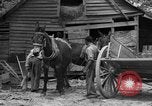 Standbild Negro Landwirte United States USA, 1931, aus Sekunde 9 historischem Filmmaterial Videoclip 65675071224