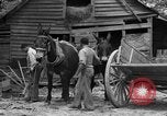 Standbild Negro Landwirte United States USA, 1931, aus Sekunde 11 historischem Filmmaterial Videoclip 65675071224