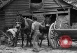 Standbild Negro Landwirte United States USA, 1931, aus Sekunde 12 historischem Filmmaterial Videoclip 65675071224
