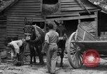 Standbild Negro Landwirte United States USA, 1931, aus Sekunde 13 historischem Filmmaterial Videoclip 65675071224