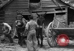 Standbild Negro Landwirte United States USA, 1931, aus Sekunde 14 historischem Filmmaterial Videoclip 65675071224