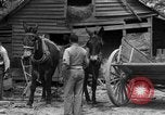 Standbild Negro Landwirte United States USA, 1931, aus Sekunde 15 historischem Filmmaterial Videoclip 65675071224