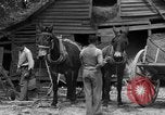 Standbild Negro Landwirte United States USA, 1931, aus Sekunde 17 historischem Filmmaterial Videoclip 65675071224