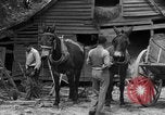 Standbild Negro Landwirte United States USA, 1931, aus Sekunde 18 historischem Filmmaterial Videoclip 65675071224