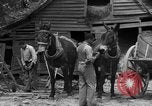Standbild Negro Landwirte United States USA, 1931, aus Sekunde 19 historischem Filmmaterial Videoclip 65675071224