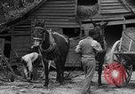 Standbild Negro Landwirte United States USA, 1931, aus Sekunde 20 historischem Filmmaterial Videoclip 65675071224