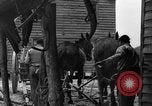 Standbild Negro Landwirte United States USA, 1931, aus Sekunde 23 historischem Filmmaterial Videoclip 65675071224