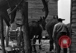 Standbild Negro Landwirte United States USA, 1931, aus Sekunde 24 historischem Filmmaterial Videoclip 65675071224