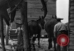 Standbild Negro Landwirte United States USA, 1931, aus Sekunde 25 historischem Filmmaterial Videoclip 65675071224