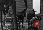 Standbild Negro Landwirte United States USA, 1931, aus Sekunde 27 historischem Filmmaterial Videoclip 65675071224