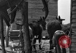 Standbild Negro Landwirte United States USA, 1931, aus Sekunde 30 historischem Filmmaterial Videoclip 65675071224