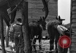 Standbild Negro Landwirte United States USA, 1931, aus Sekunde 31 historischem Filmmaterial Videoclip 65675071224