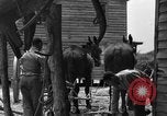 Standbild Negro Landwirte United States USA, 1931, aus Sekunde 32 historischem Filmmaterial Videoclip 65675071224