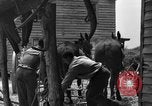 Standbild Negro Landwirte United States USA, 1931, aus Sekunde 33 historischem Filmmaterial Videoclip 65675071224