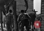 Standbild Negro Landwirte United States USA, 1931, aus Sekunde 34 historischem Filmmaterial Videoclip 65675071224