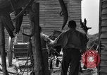 Standbild Negro Landwirte United States USA, 1931, aus Sekunde 37 historischem Filmmaterial Videoclip 65675071224