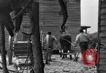 Standbild Negro Landwirte United States USA, 1931, aus Sekunde 43 historischem Filmmaterial Videoclip 65675071224