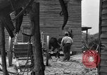 Standbild Negro Landwirte United States USA, 1931, aus Sekunde 46 historischem Filmmaterial Videoclip 65675071224