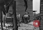 Standbild Negro Landwirte United States USA, 1931, aus Sekunde 47 historischem Filmmaterial Videoclip 65675071224