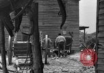 Standbild Negro Landwirte United States USA, 1931, aus Sekunde 48 historischem Filmmaterial Videoclip 65675071224