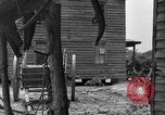 Standbild Negro Landwirte United States USA, 1931, aus Sekunde 59 historischem Filmmaterial Videoclip 65675071224