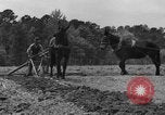 Standbild Negro Landwirte United States USA, 1931, aus Sekunde 61 historischem Filmmaterial Videoclip 65675071224