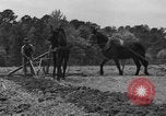 Standbild Negro Landwirte United States USA, 1931, aus Sekunde 62 historischem Filmmaterial Videoclip 65675071224