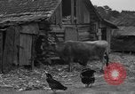 Standbild Afroamerikanische Bauern United States USA, 1931, aus Sekunde 3 historischem Filmmaterial Videoclip 65675071227