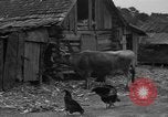 Standbild Afroamerikanische Bauern United States USA, 1931, aus Sekunde 4 historischem Filmmaterial Videoclip 65675071227