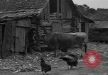 Standbild Afroamerikanische Bauern United States USA, 1931, aus Sekunde 5 historischem Filmmaterial Videoclip 65675071227