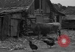 Standbild Afroamerikanische Bauern United States USA, 1931, aus Sekunde 6 historischem Filmmaterial Videoclip 65675071227