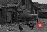 Standbild Afroamerikanische Bauern United States USA, 1931, aus Sekunde 7 historischem Filmmaterial Videoclip 65675071227