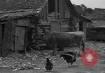 Standbild Afroamerikanische Bauern United States USA, 1931, aus Sekunde 8 historischem Filmmaterial Videoclip 65675071227