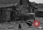 Standbild Afroamerikanische Bauern United States USA, 1931, aus Sekunde 9 historischem Filmmaterial Videoclip 65675071227