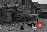 Standbild Afroamerikanische Bauern United States USA, 1931, aus Sekunde 10 historischem Filmmaterial Videoclip 65675071227