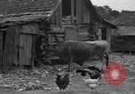 Standbild Afroamerikanische Bauern United States USA, 1931, aus Sekunde 11 historischem Filmmaterial Videoclip 65675071227