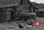 Standbild Afroamerikanische Bauern United States USA, 1931, aus Sekunde 12 historischem Filmmaterial Videoclip 65675071227