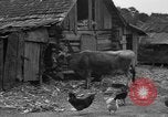 Standbild Afroamerikanische Bauern United States USA, 1931, aus Sekunde 13 historischem Filmmaterial Videoclip 65675071227