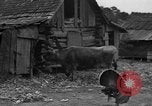 Standbild Afroamerikanische Bauern United States USA, 1931, aus Sekunde 15 historischem Filmmaterial Videoclip 65675071227