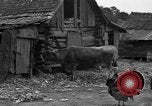 Standbild Afroamerikanische Bauern United States USA, 1931, aus Sekunde 17 historischem Filmmaterial Videoclip 65675071227